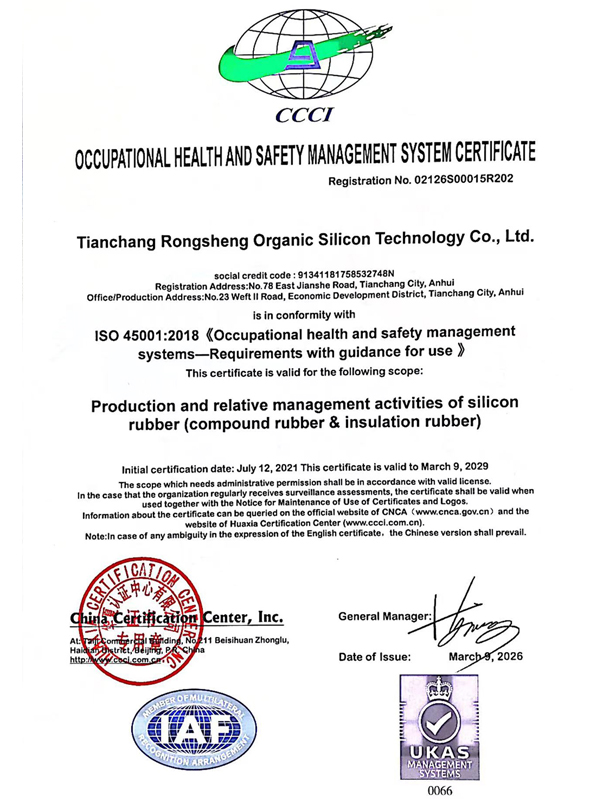Occupational Health and Safety Management System Certification (English Version)
