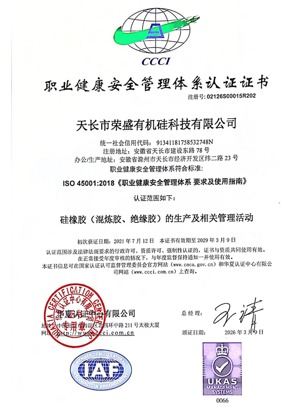 Occupational Health and Safety Management System Certification (Chinese Version)
